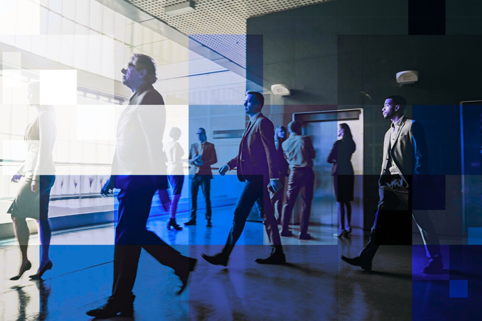 Caledonia Risk - About us