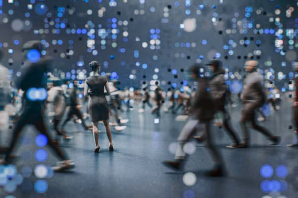 Caledonia Risk Corporate Fraud Investigations