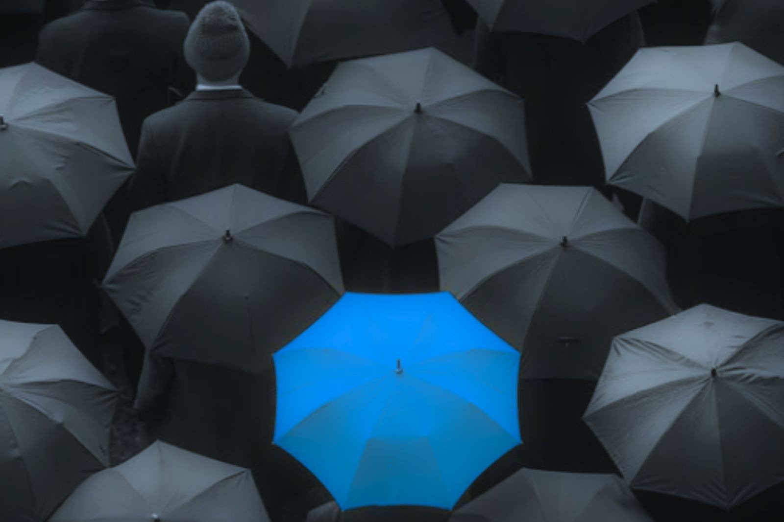 Caledonia Risk - Insurance Fraud Surveillance