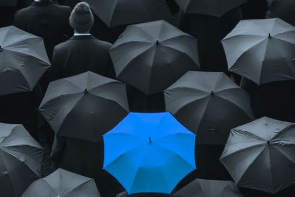 Caledonia Risk Insurance Fraud