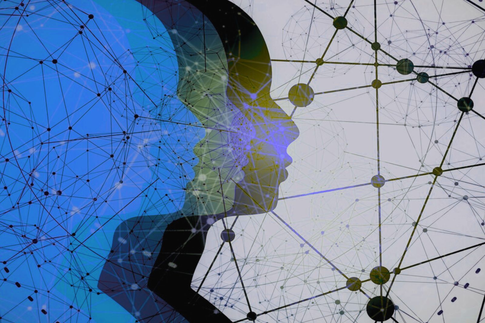 Caledonia Risk - Litigation Support Case Study