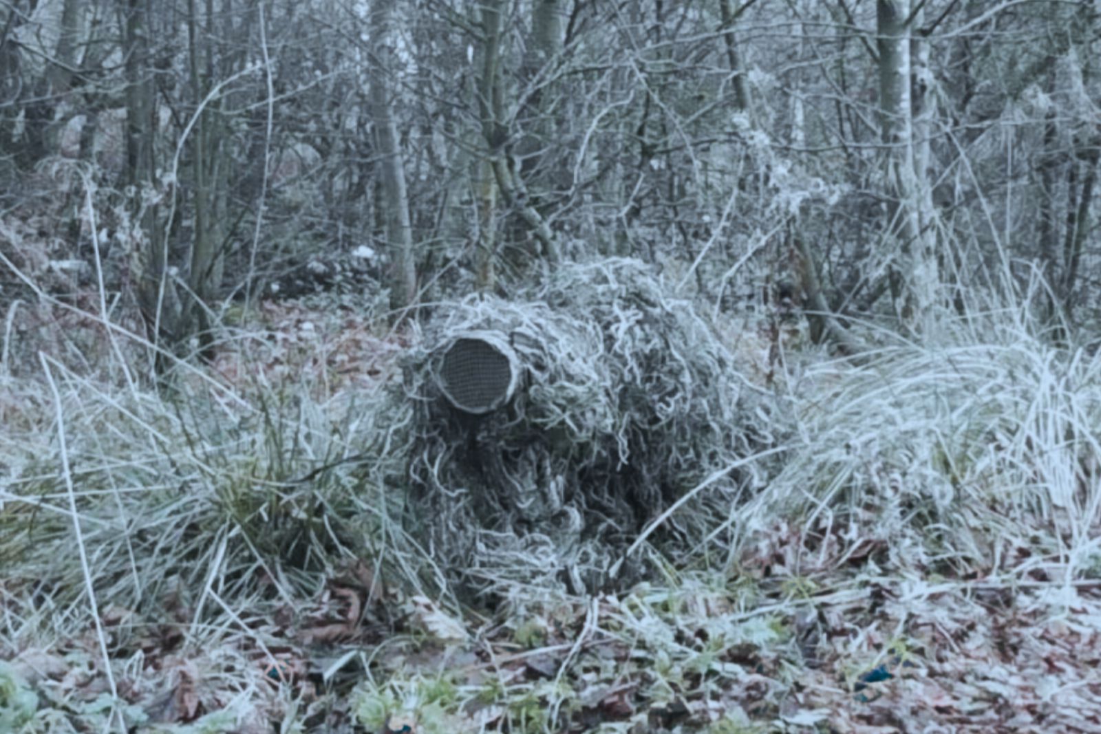 Caledonia Risk - Rural Surveillance Case Study